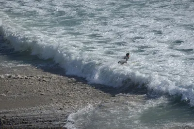 DSC_6994 (Large).JPG